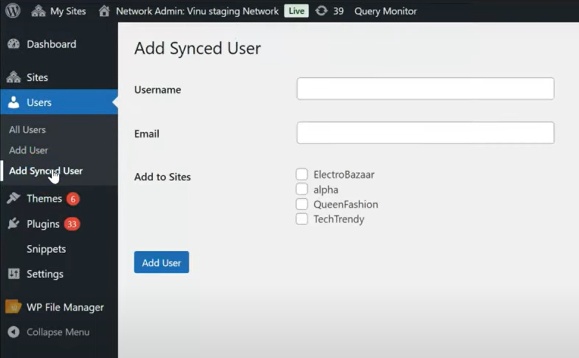 multisite user